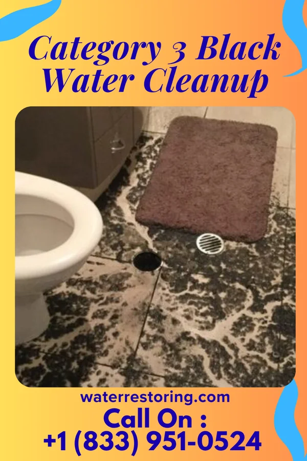 Category 3 Black Water Cleanup in New London, IA