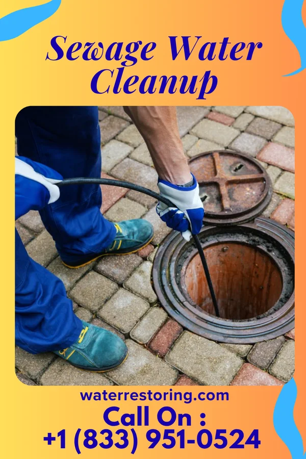 Sewage Water Cleanup in New London, IA